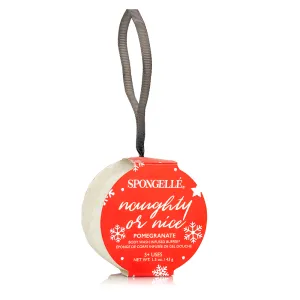 Holiday Ornament | Naughty or Nice